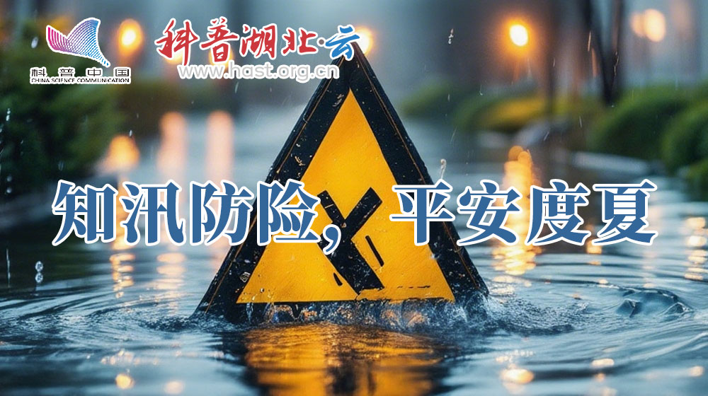 知汛防险，平安度夏
